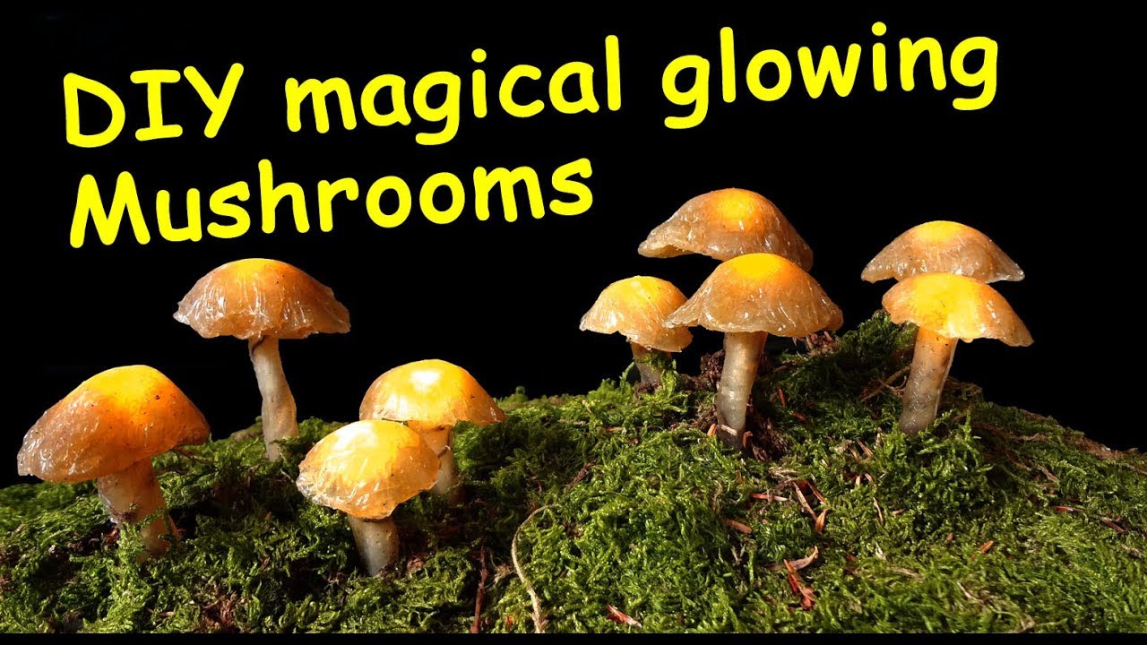 Magical Glowing Mushrooms // DIY