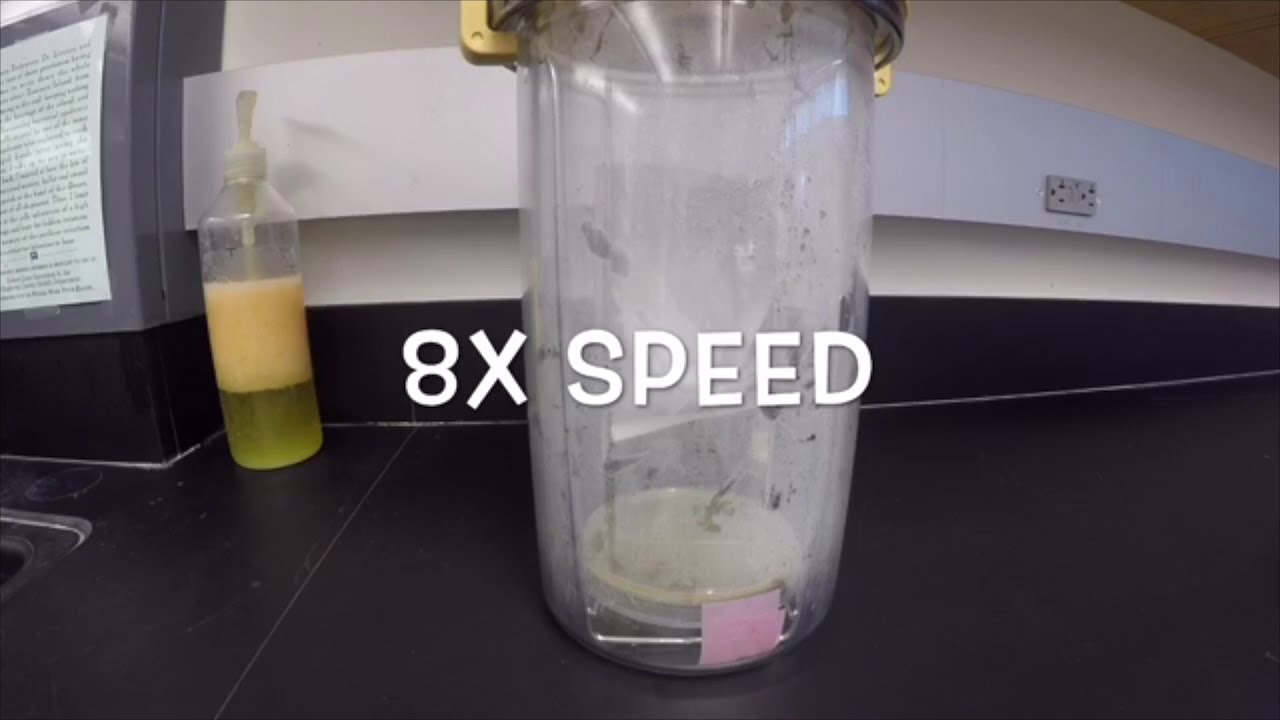 Microbiology Lab Project: Anaerobic Jar v2