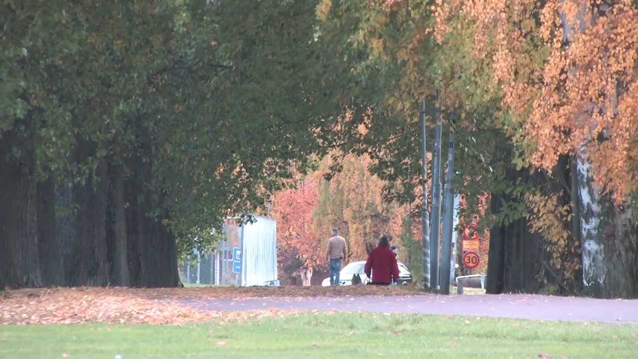 Kvinnojouren Borl&auml;nge / ENGELSKA