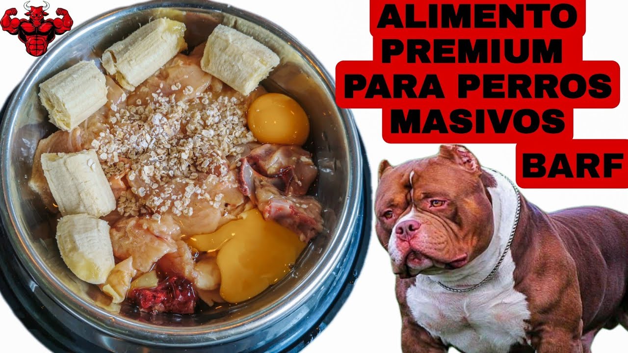 ✅LA MEJOR COMIDA NATURAL PARA PERROS PARA QUE ESTÉN SANOS💪 (ALTO EN PROTEÍNA ) DIETA BARF 💪