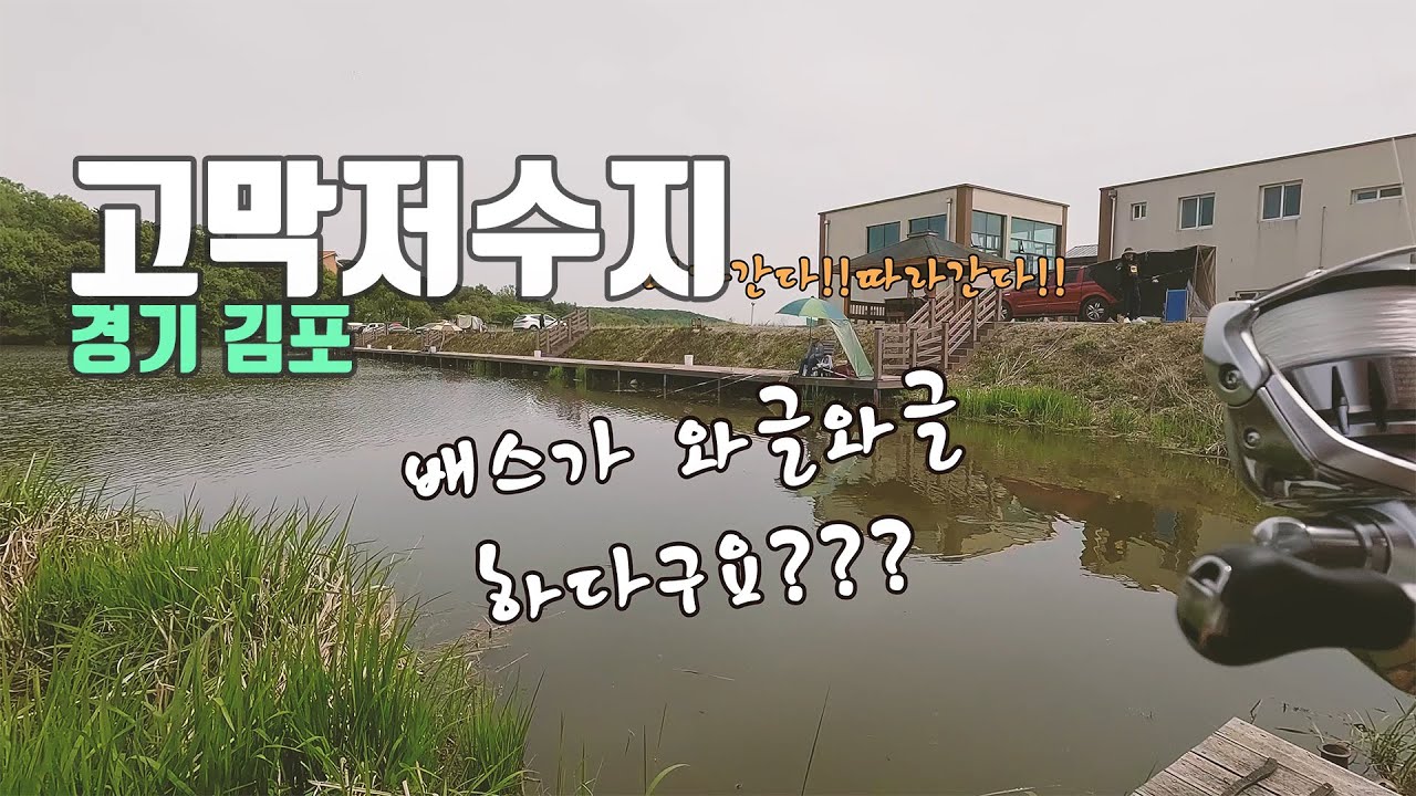 경기 김포 고막저수지 배스가 와글와글?  #배스낚시 #fishing #저수지낚시