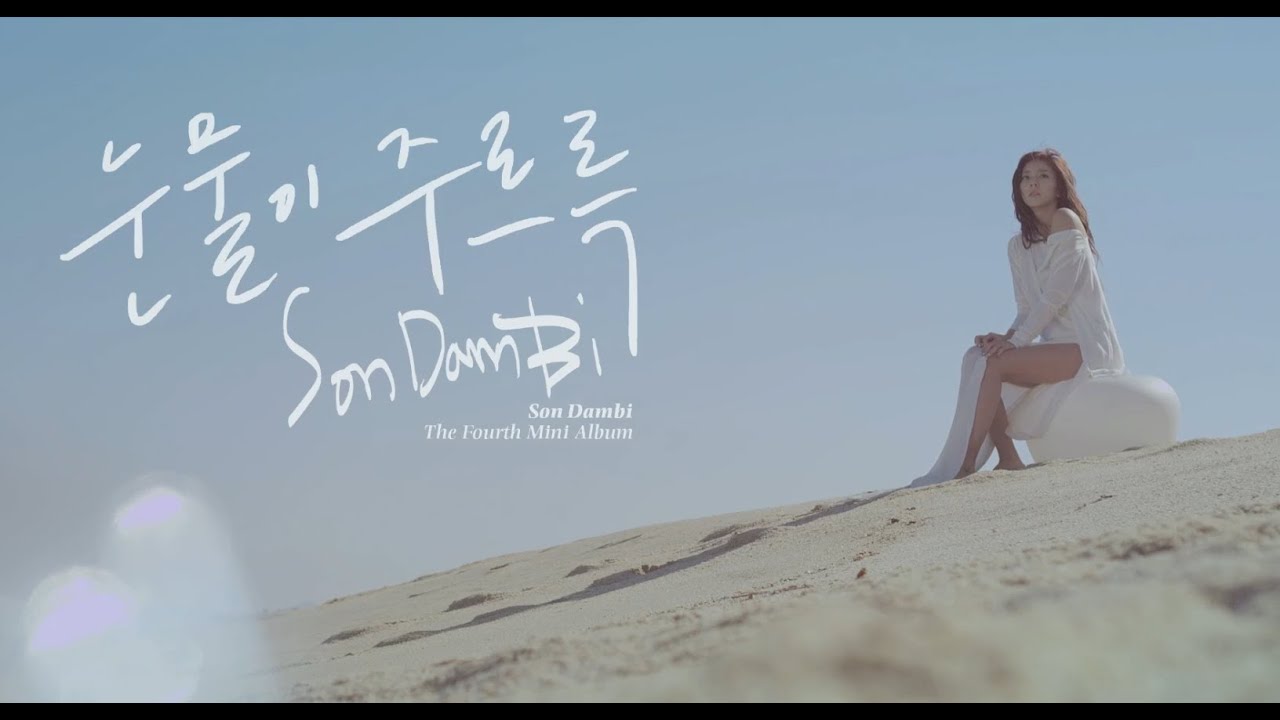 [M/V] 눈물이 주르륵 - 손담비