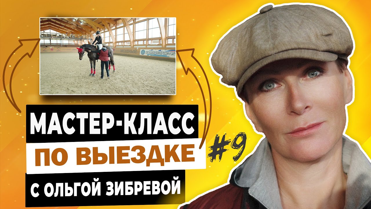Мастер-класс с Ольгой Зибревой по выездке. 2 день 2 всадник Анна на лошади по кличке 