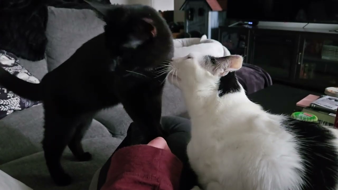 Sweet kiddos