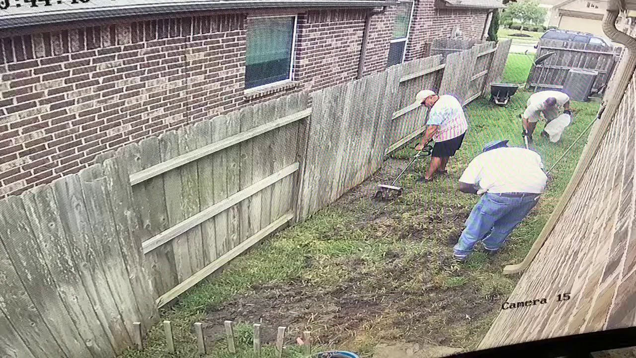 Dog run installation