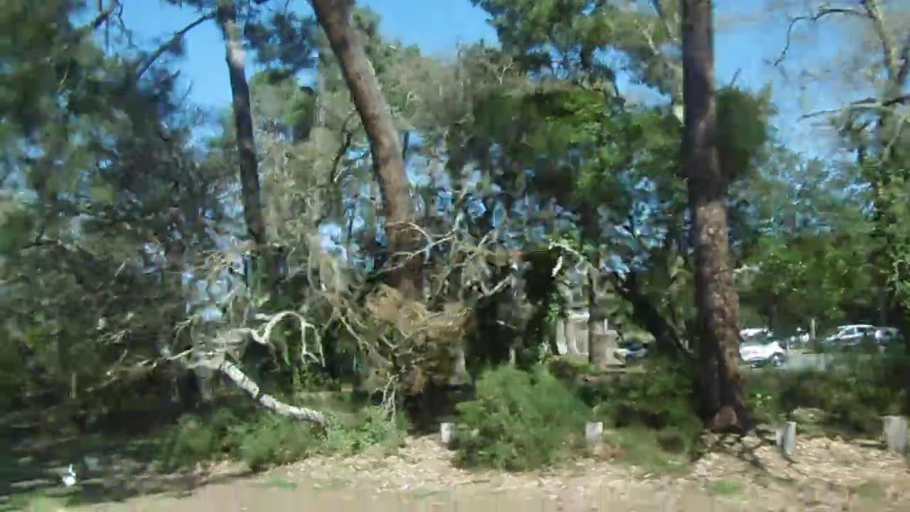 P1000268