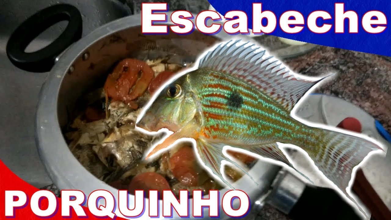 Escabeche de Peixe Porquinho - Delicioso e Único do Youtube