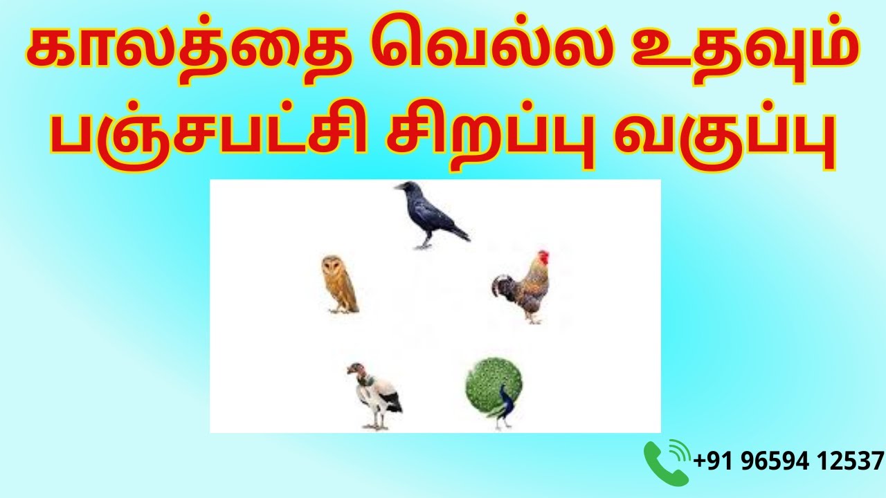 காலத்தை வெல்ல உதவும் பஞ்சபட்சி சிறப்பு வகுப்பு | முன்பதிவு அவசியம்  +91 96594 12537 | TAMIL | ONLINE