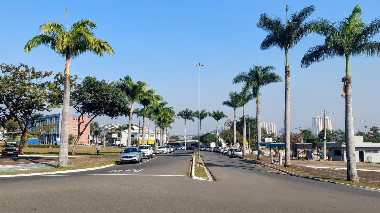 Vale a Pena Conhecer, Bosque dos Cedros Nova Odessa-SP