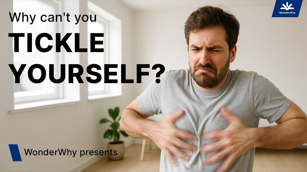 Why You Can'T Tickle Yourself: The Surprising Science Explained!