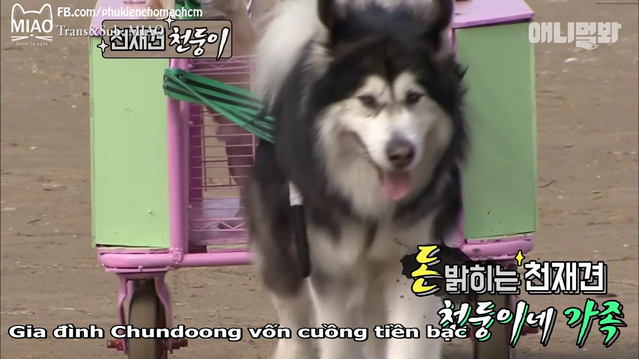 Chundoong