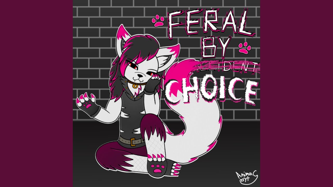 THIS IS NOT YOUR FANDOM (Album version)