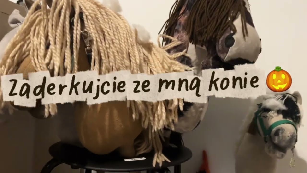 Hobby horse - Derki dla moich koni. KHT_WEST