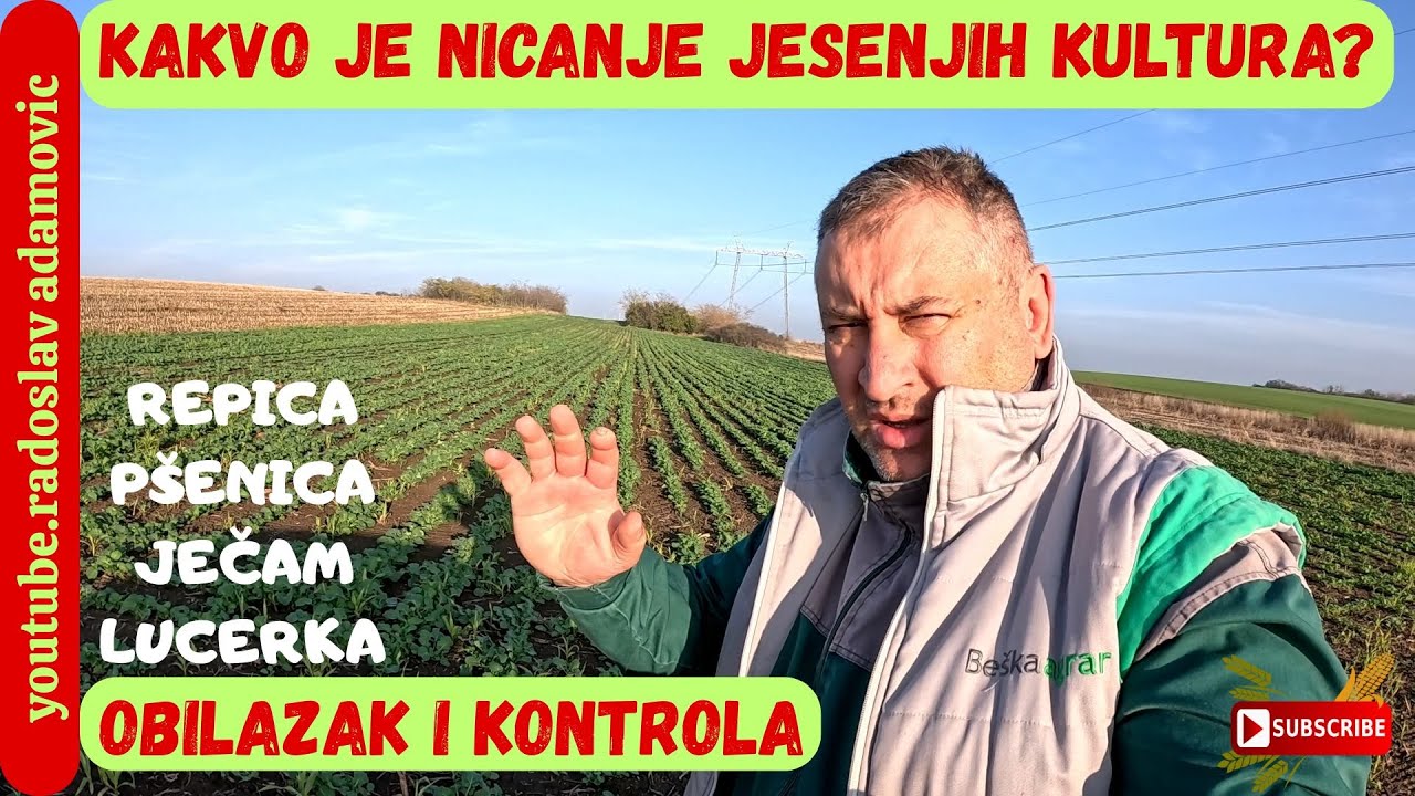 KAKVO JE NICANJE JESENJIH KULTURA? OBILAZAK I KONTROLA: ULJANA REPICA PŠENICA JEČAM LUCERKA