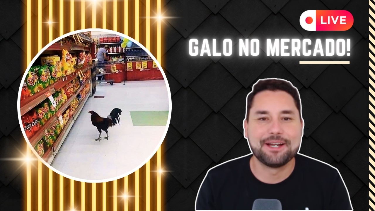 LIVE INFORMATIVA: GALO BUSCA NOVO TÉCNICO | JÁ TEM NOME DESCARTADO | LUIZ ARAÚJO TEM CHANCE?
