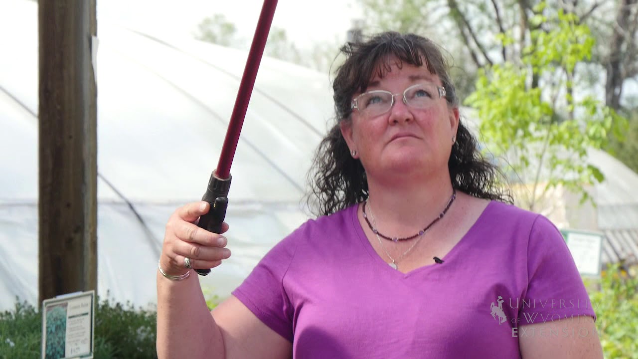 Assistive Gardening Tools | From the Ground Up