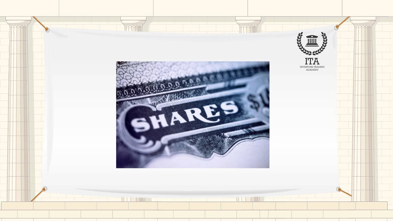What is Paid in Capital?