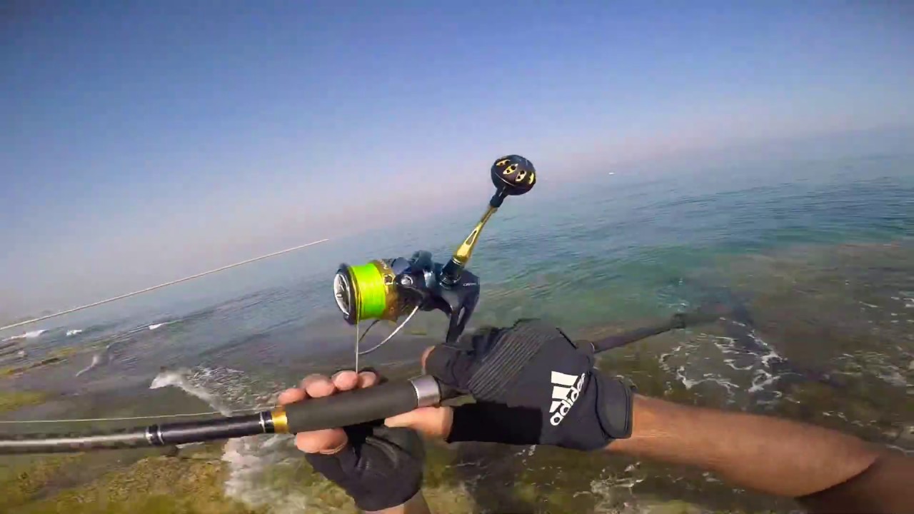 דייג באשדוד-Fishing Ashdod 2020