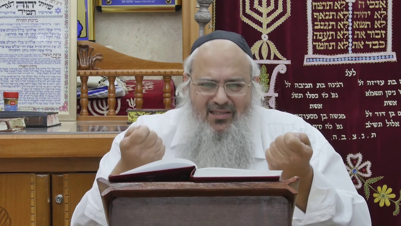 פנינים לפרשת במדבר ולחג השבועות - הרב שלמה לוינשטיין