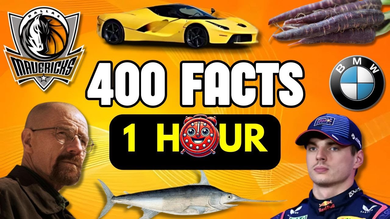 1 HOUR With 400 AMAZING FACTS That Will Shock You😲⏰| #11