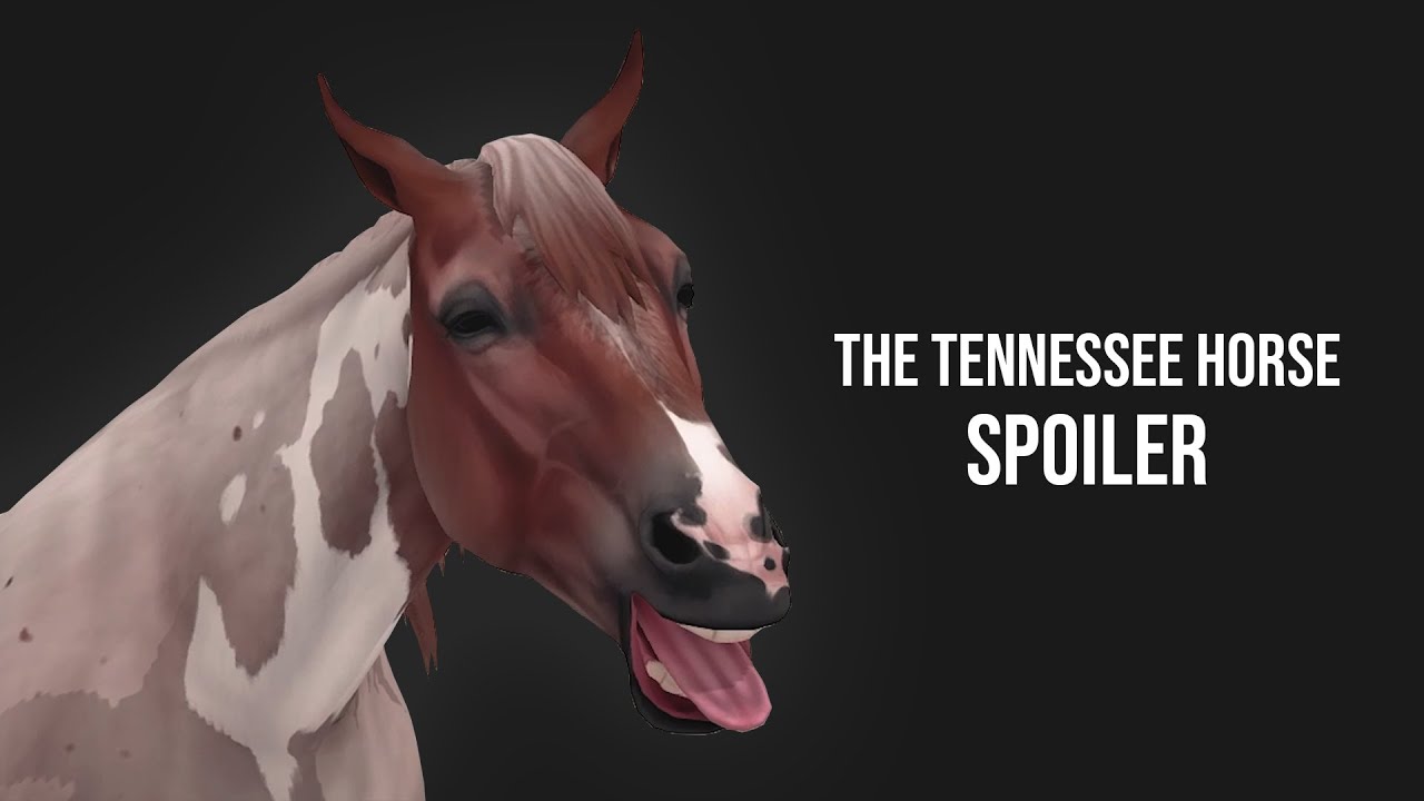 SPOILER - The Tennessee Horse (Coats, Gaits, In Race) | SSO Secrets
