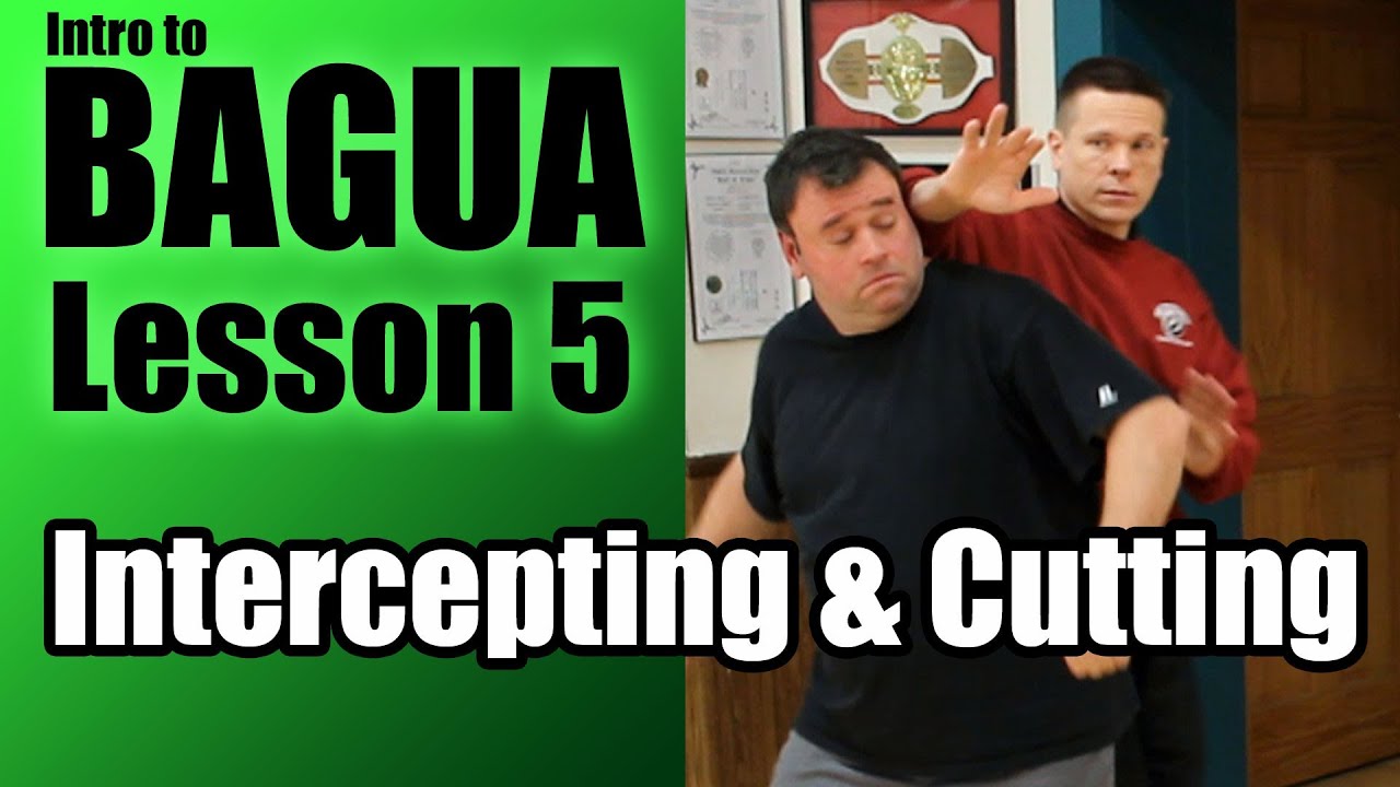 Bagua Intercepting & Cutting - Intro to Clear's Bagua Lesson 5