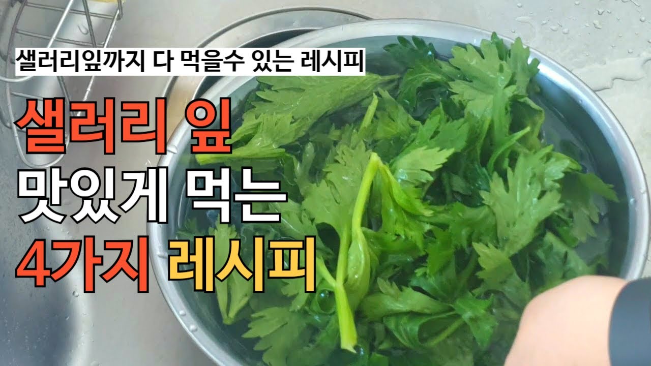 샐러리 잎, 버리지마세요! 초간단 레시피 공개!