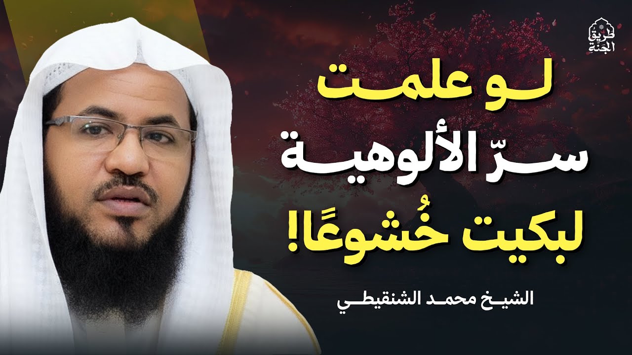 لو علمت سرّ الألوهية… لبكيت خُشوعًا! | الشيخ محمد الشنقيطي