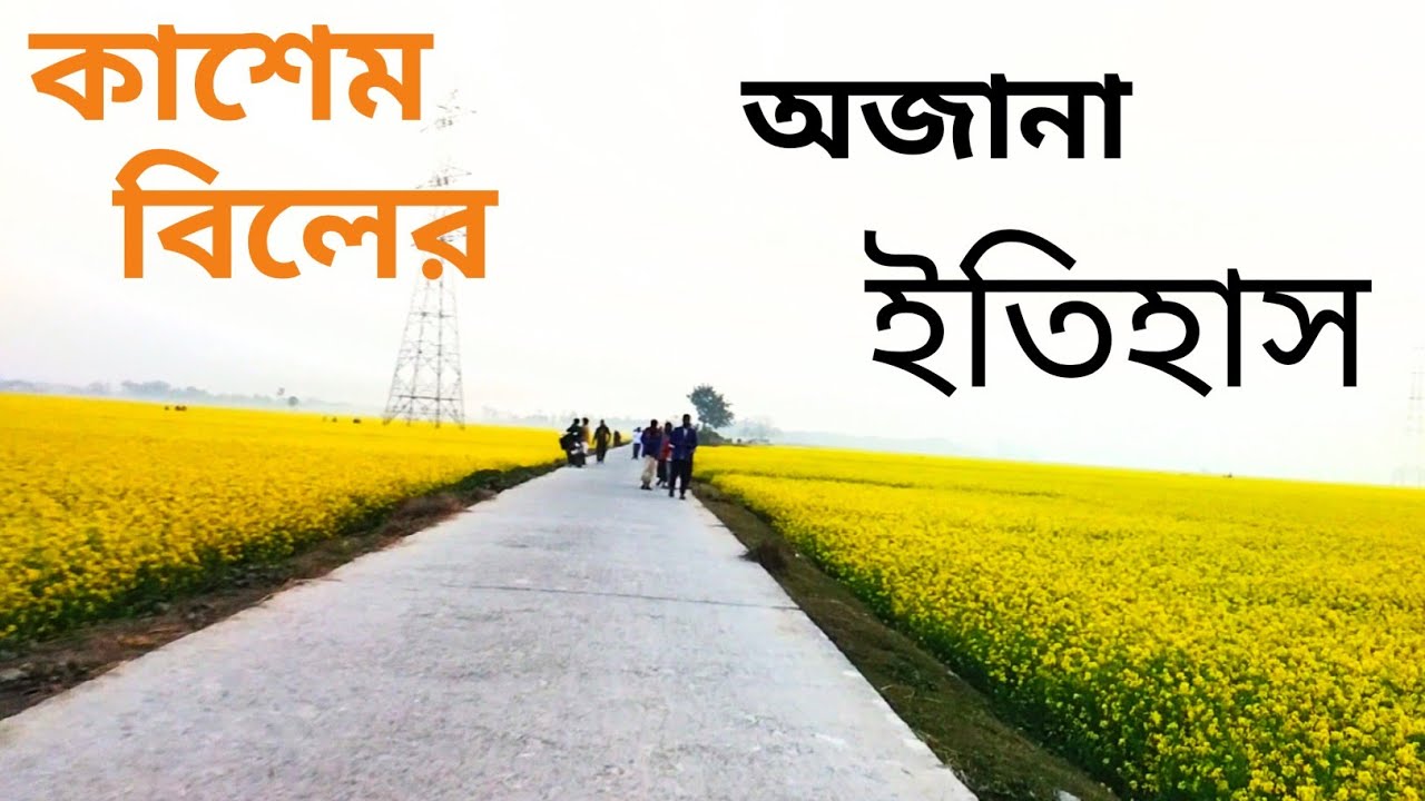 কাসেম বিল, কাশেম বিল উল্লাপাড়া, কাসেম বিল উল্লাপাড়া সিরাজগঞ্জ, উল্লাপাড়ার কাসেম বিল,কাসেম kashem bil