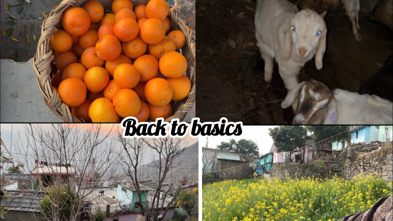 Fresh air, fresh farm food, and no filters needed🫶 Back to My Roots🏔️ The Simple Life 🌾