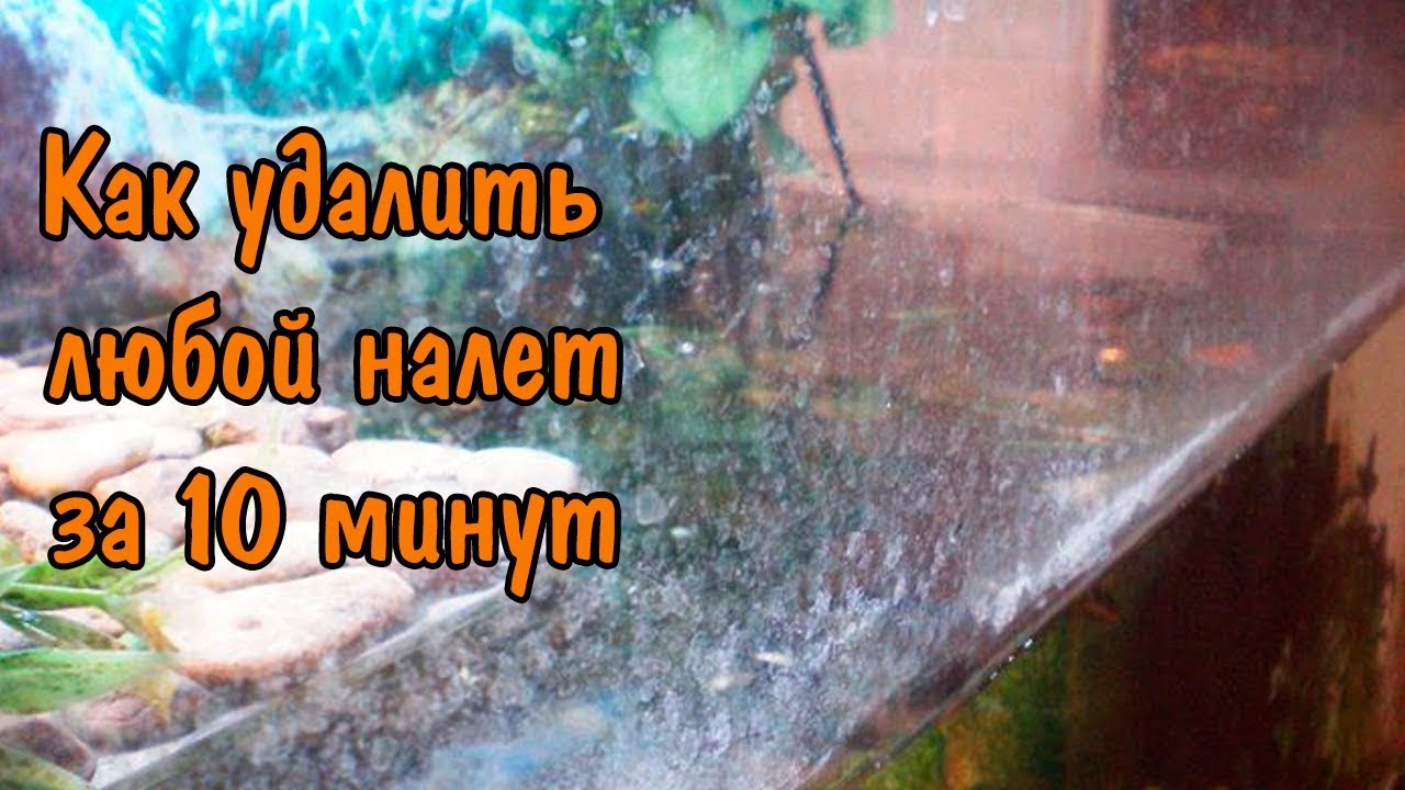 КАК УДАЛИТЬ ЛЮБОЙ НАЛЕТ ЗА 10 МИНУТ. HOW TO REMOVE PLAQUE IN 10 MINUTES