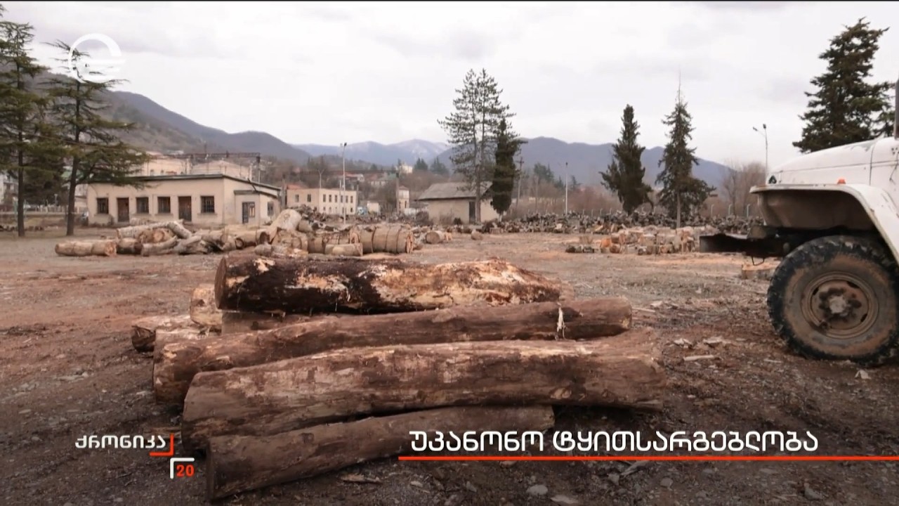 უკანონო ტყითსარგებლობა
