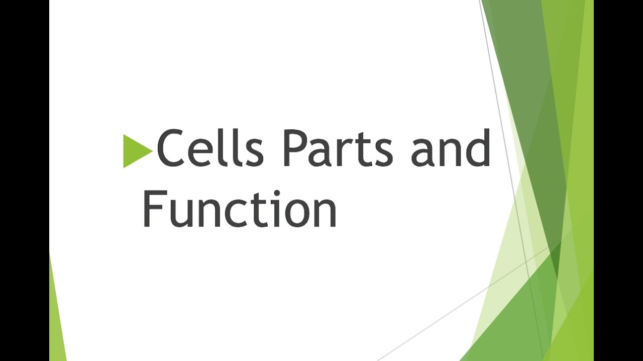 Grade 10 - Cell Theory and Cell Parts and Function