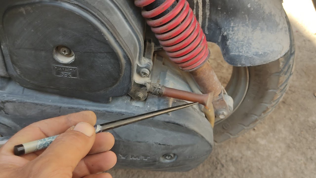 اسباب وجود برادآ دخل فضله الزيت