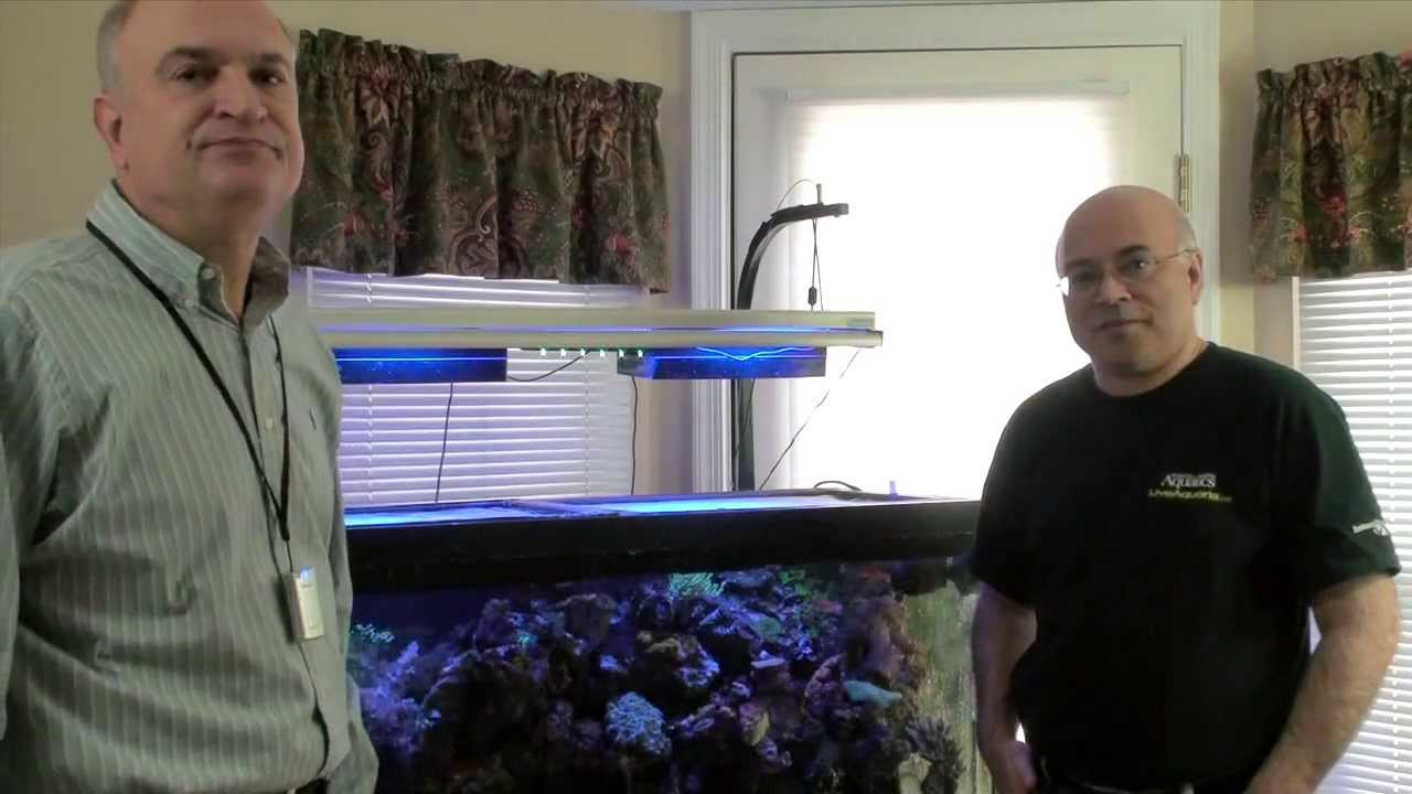 Часть III — Экспериментальная светодиодная подкаст Paletta LED — Видеоподкаст о рифах от American...