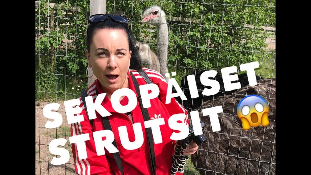 PAUSE-HAASTE feat. LASSI (+VLOG #2)