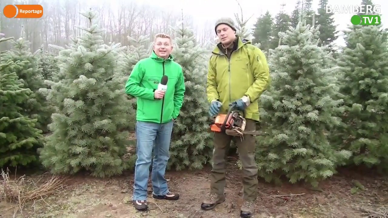 Die Reportage - Weihnachtsbäume aus Deutschland