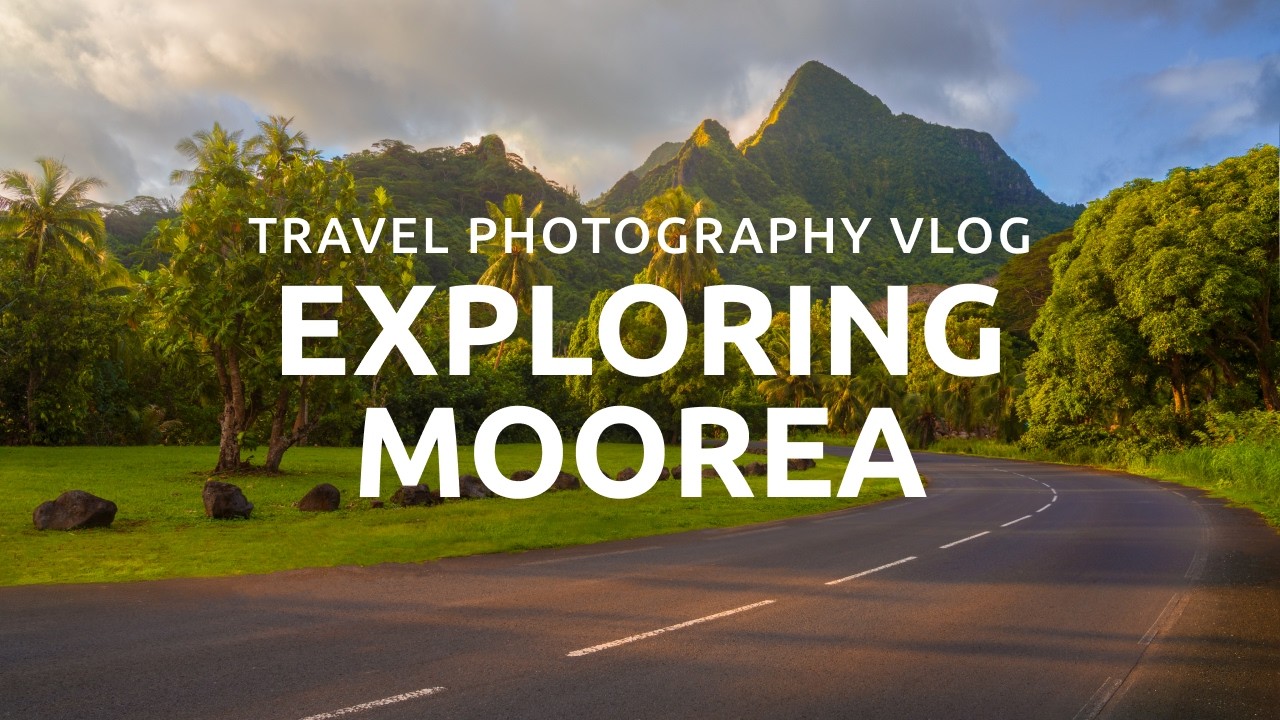 Tropical MOOREA 🇵🇫 French Polynesia Travel Vlog