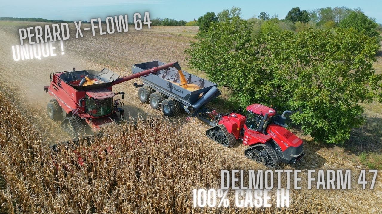 🇺🇸 Un TRANSBORDEUR unique de 64m3 en FRANCE chez l'entreprise DELMOTTE ⚫️ [ PERARD / CASE IH ] 🤯