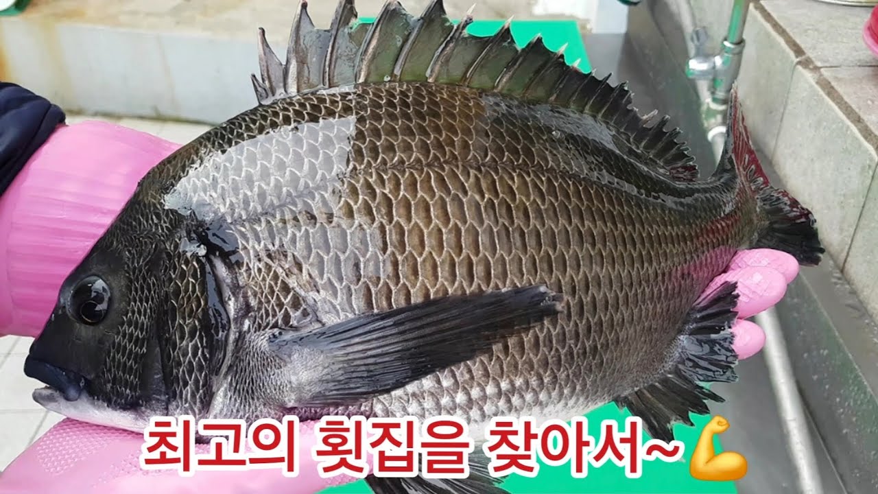 자연산 활어회의 단맛과 명품물회~👍