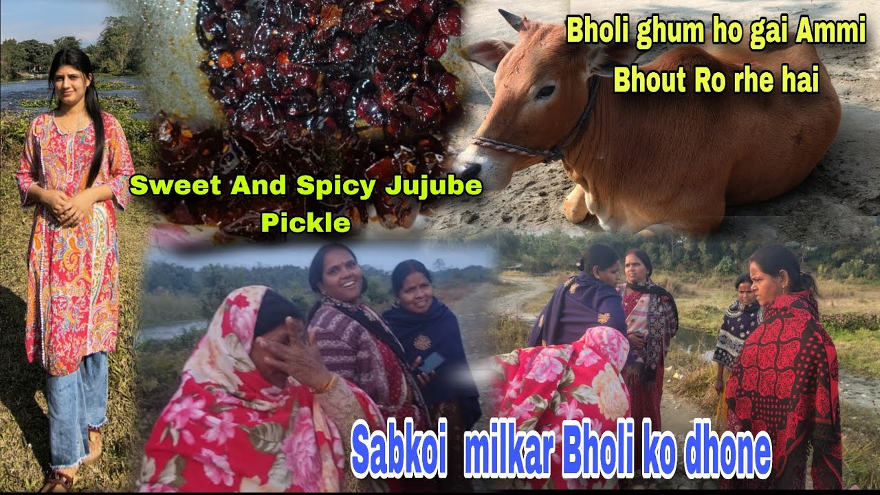 Bholi ghum ho gai Ammi Bhout Ro rhe hai 🥹 Sbkoi milkar Bholi ko dhone 🥰 Sweet  Jujube Pickle Recipe 