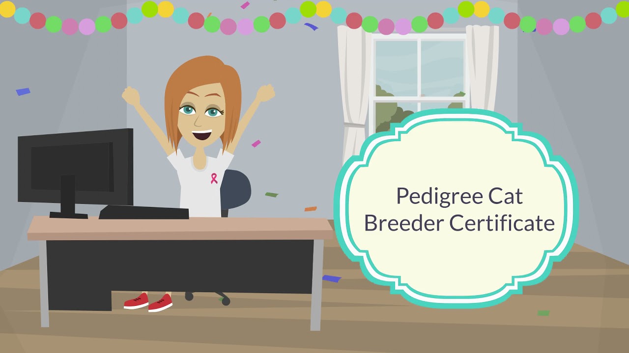 Complete Guide To Breeding Pedigree Cats