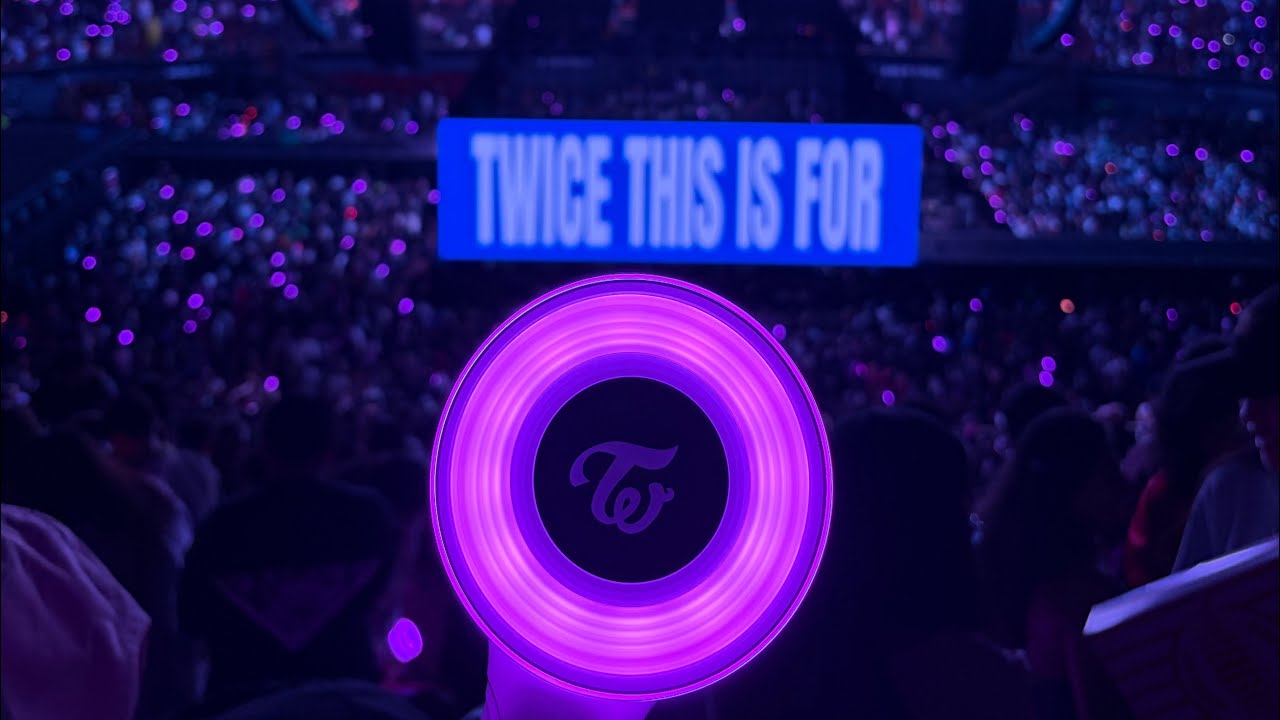 Twice This is For Concert Vlog LA Night 3
