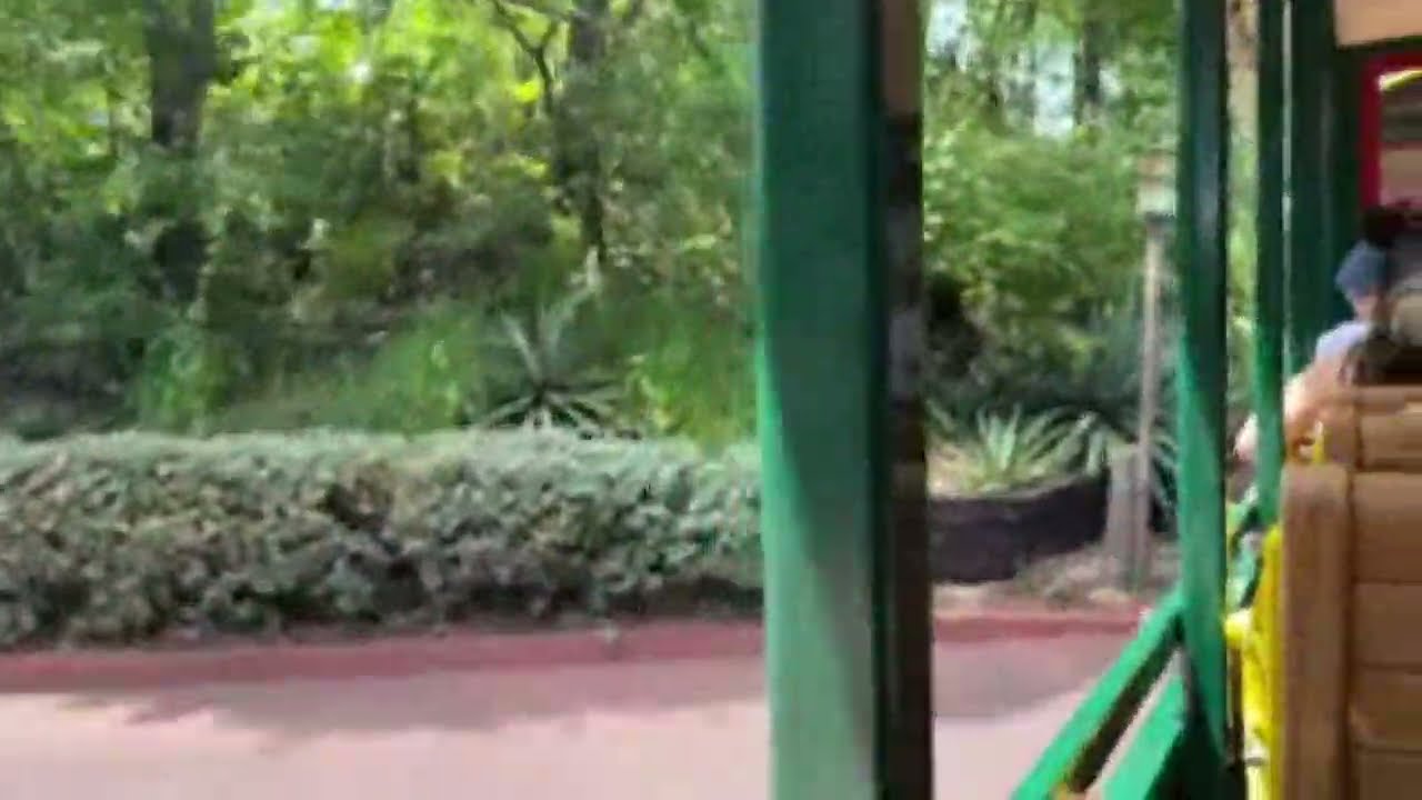 Entering Adventureland on the WDWRR! 4.21.25