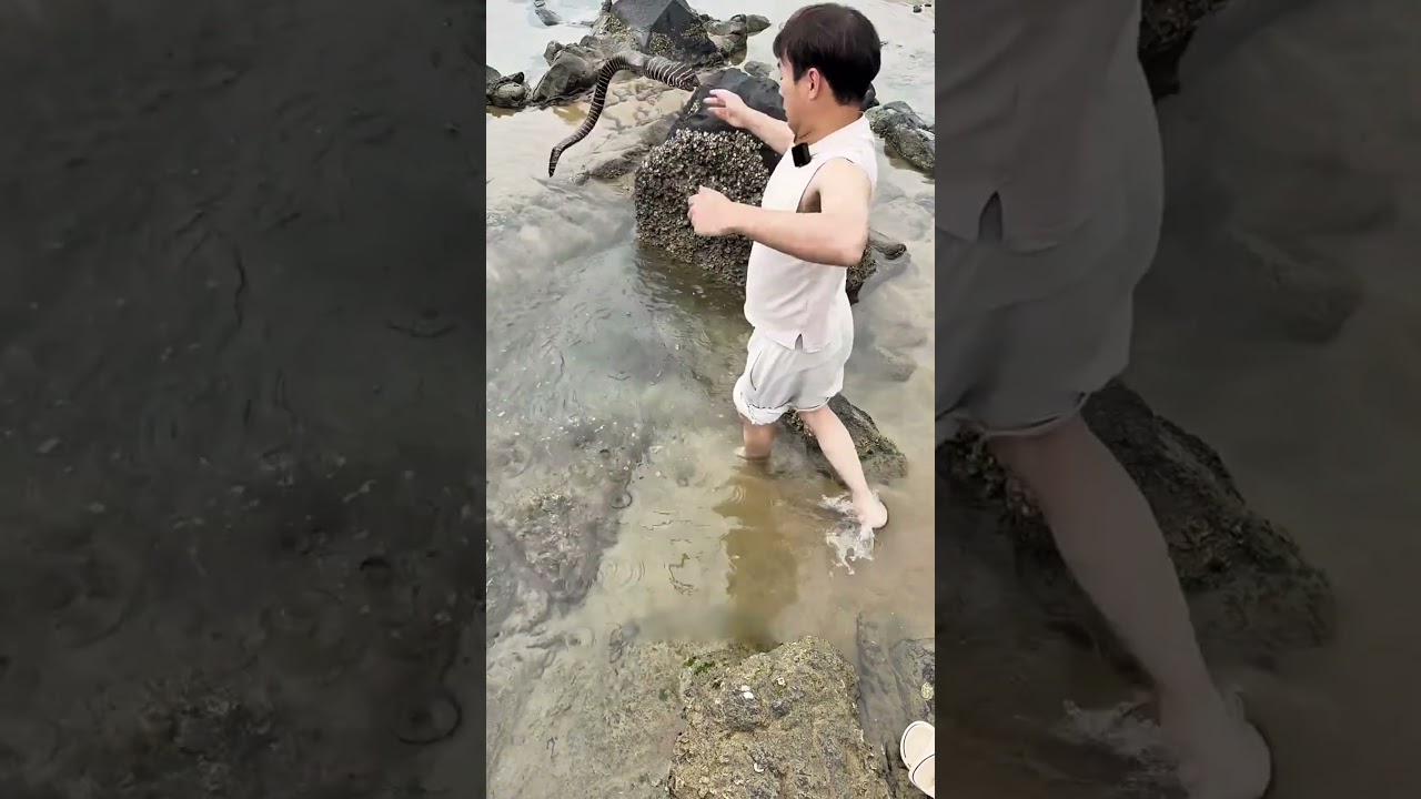Don't even touch it 😮: marine ribbon worm