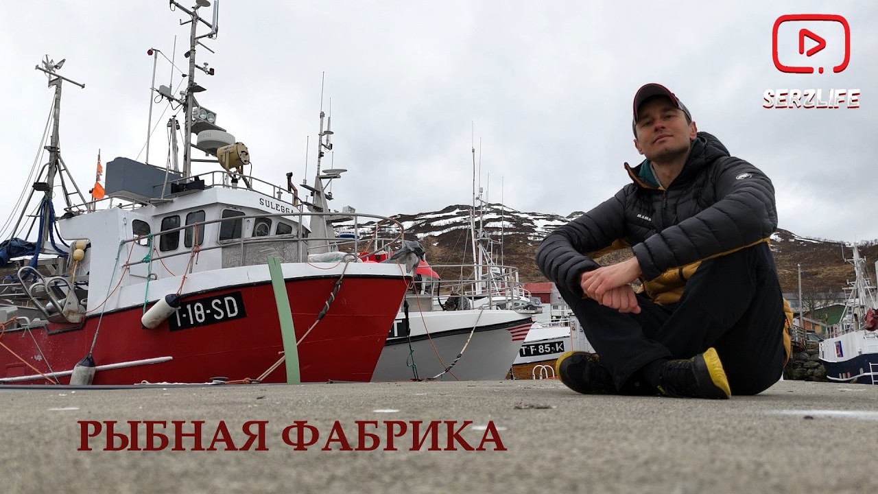 Рыбная Фабрика в Норвегии - Вернулся год спустя! Сколько платят в час?
