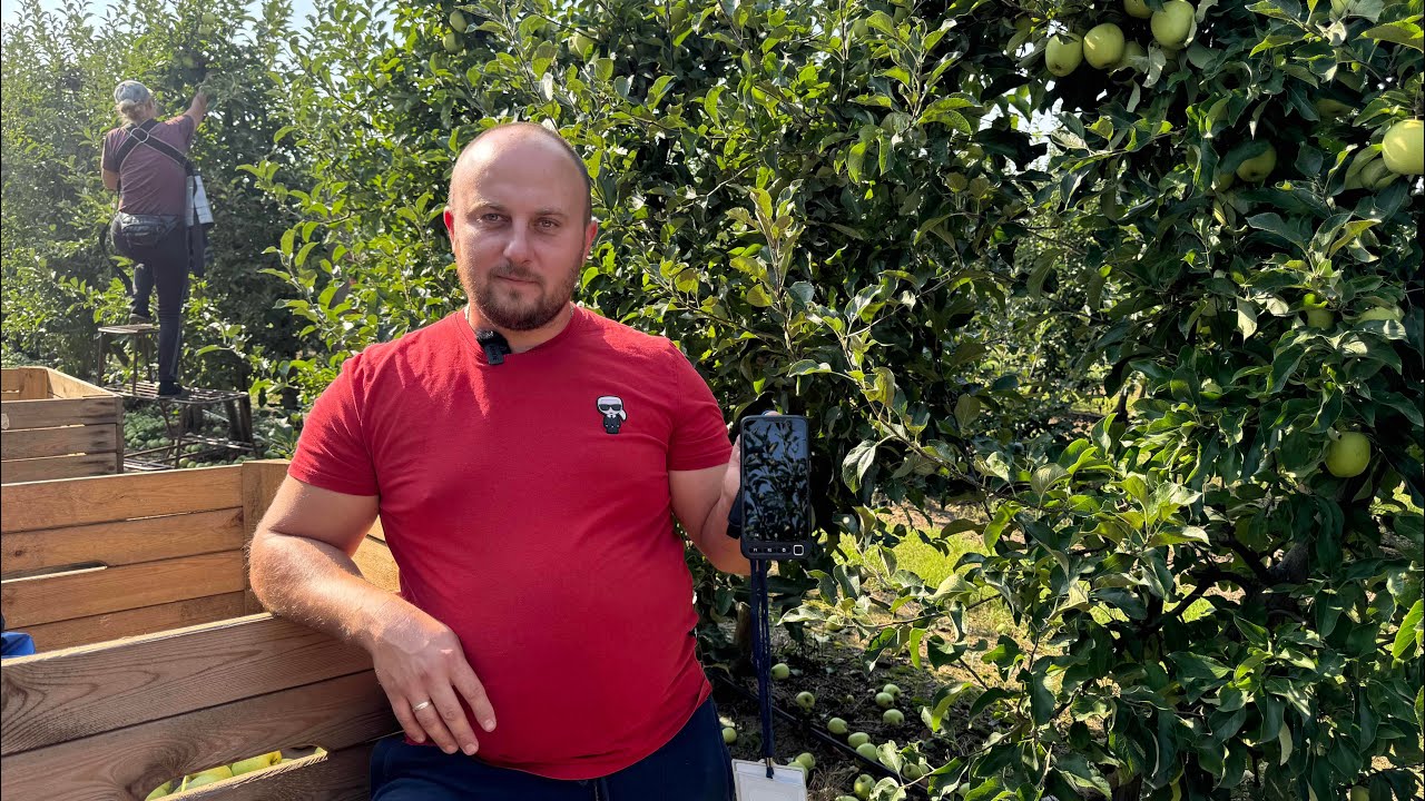 Zbiór jabłek w sadzie z Max Crop – rewolucja w ewidencjonowaniu