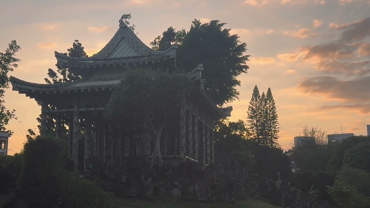 #落羽松  -  原住民文化主題公園就能賞到......雙溪公園找當年的回憶......60年的老公園 （15 December 2025)【秀秀_離憂_記】
