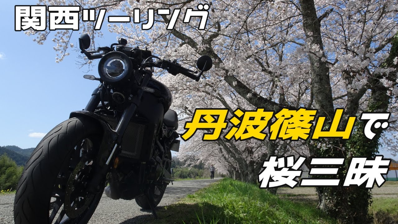 【関西ツーリング】丹波篠山の桜を堪能しに行こう【XSR900】
