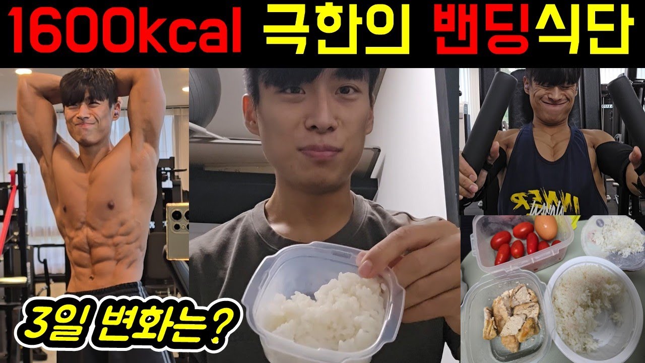 1600kcal 극한 밴딩 3일 식단 브이로그｜몸 변화는?